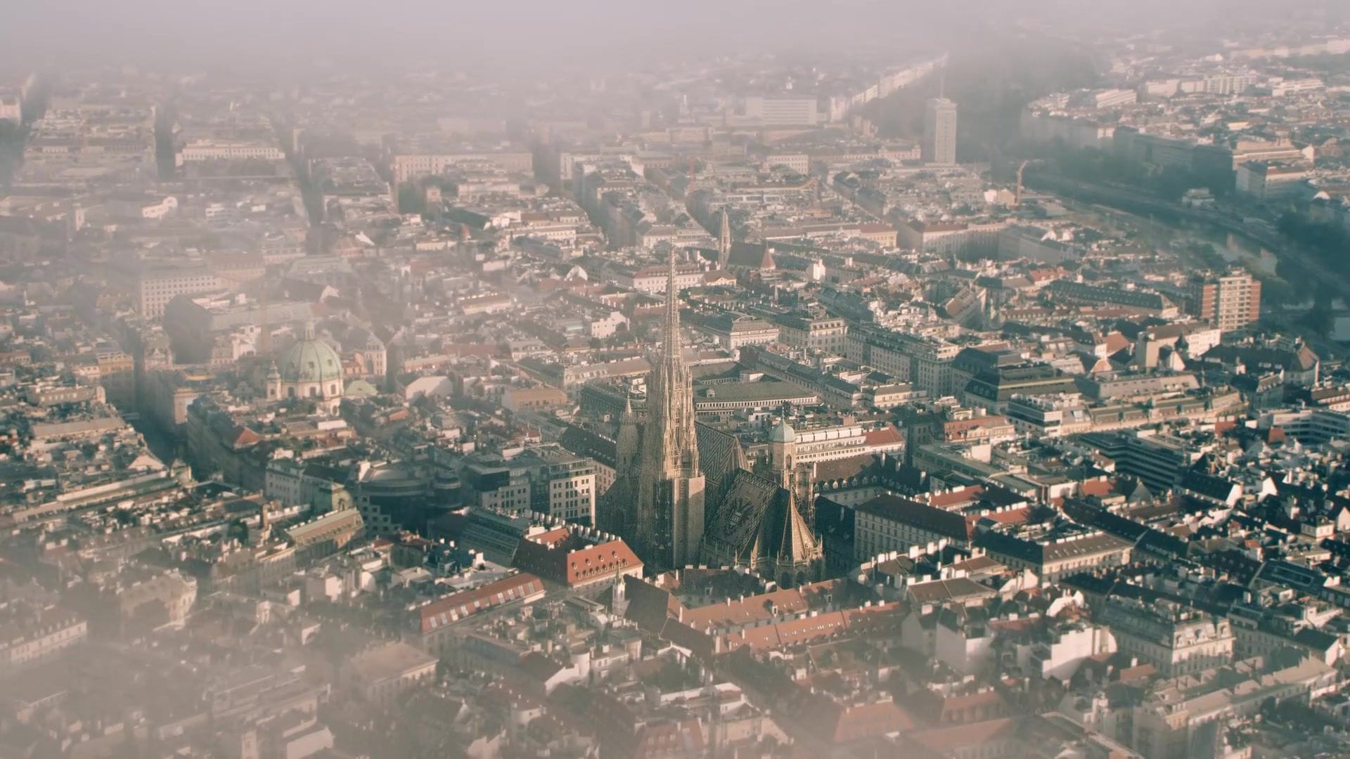 VIENNA SLEEPING BEAUTY - SUNRISE Thumbnail